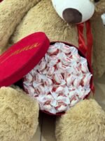 Teddy Special - Image 2