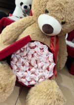 Teddy Special - Image 3